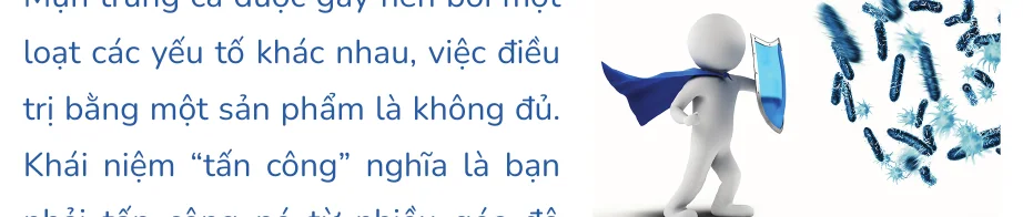 Minh hoạ trong chương “Các giai đoạn của quá trình điều trị” — sách Hiểu mụn để hết mụn