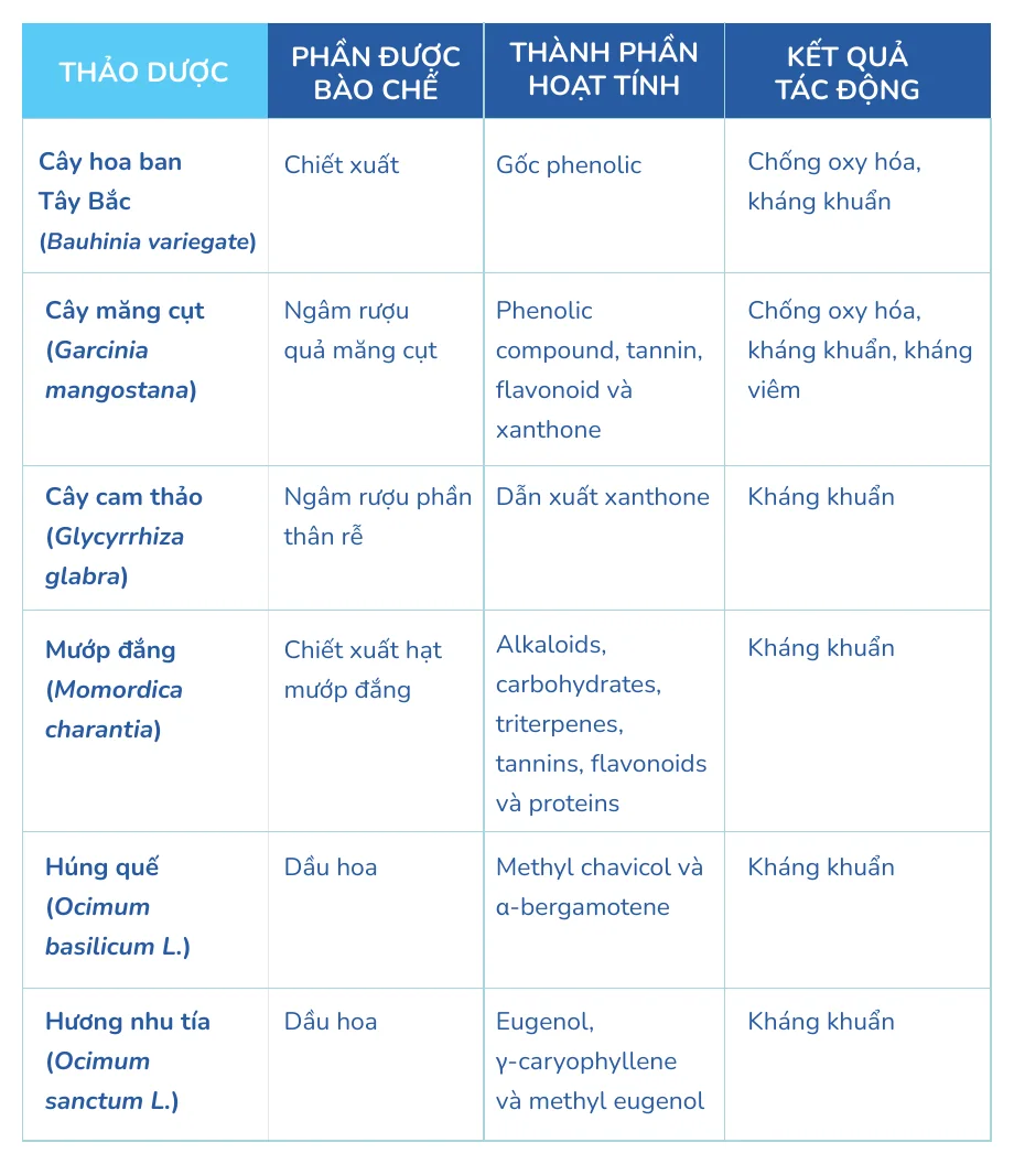 Minh hoạ trong chương “Các vấn đề khác” — sách Hiểu mụn để hết mụn