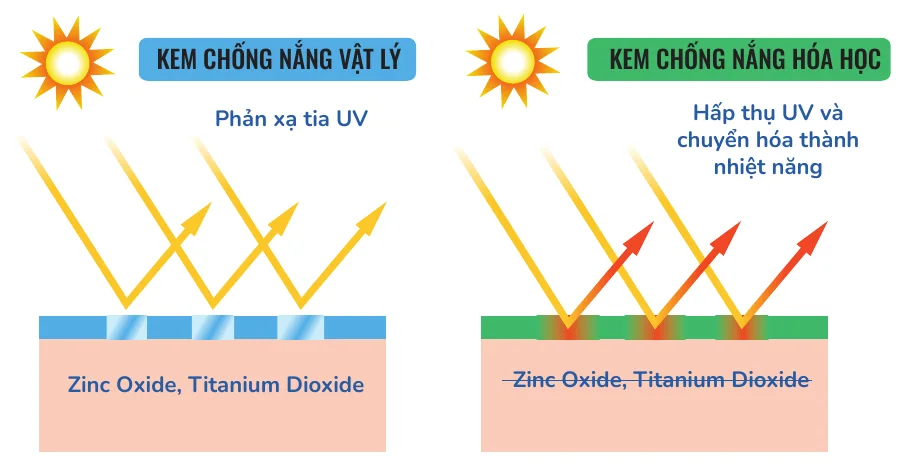 Minh hoạ trong chương “Chống nắng cho da mụn” — sách Hiểu mụn để hết mụn
