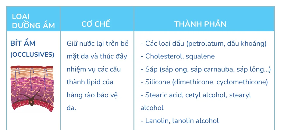 Minh hoạ trong chương “Dưỡng ẩm cho da mụn” — sách Hiểu mụn để hết mụn