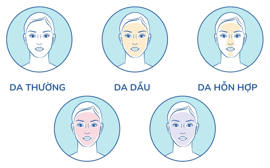 Minh hoạ trong chương “Hiểu tuýp da của bạn” — sách Hiểu mụn để hết mụn