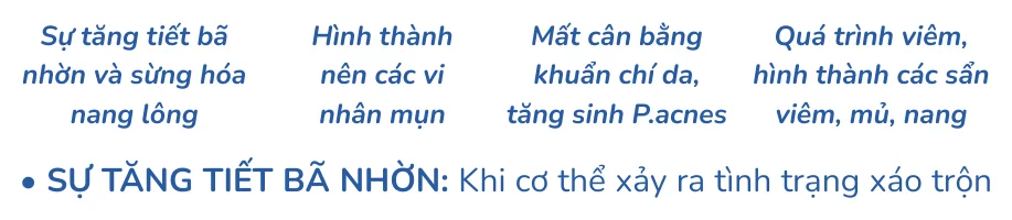 Minh hoạ trong chương “Quá trình hình thành mụn” — sách Hiểu mụn để hết mụn