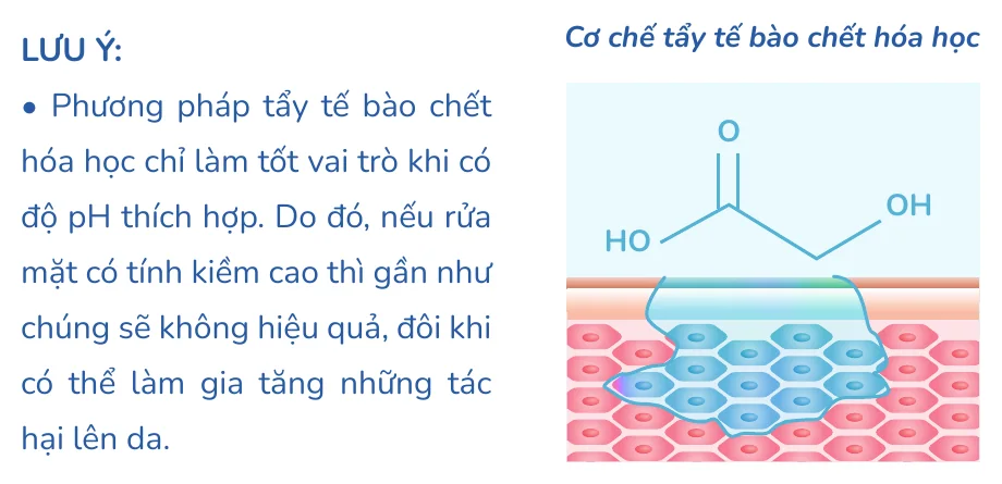 Minh hoạ trong chương “Tẩy tế bào chết cho da mụn” — sách Hiểu mụn để hết mụn