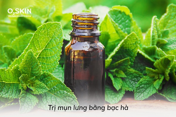 Bạn có thể dùng bạc hà tươi hoặc tinh dầu bạc hà để trị mụn lưng